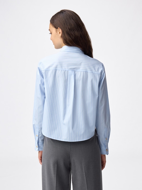 ショートシャツ Kirby