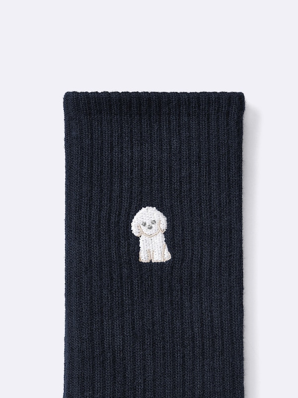 KIDS(男女兼用) ソックス2P(刺繍/柄)