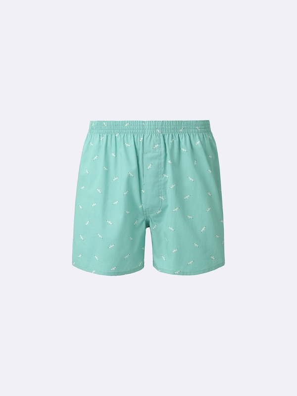 布帛トランクス(カモメ)