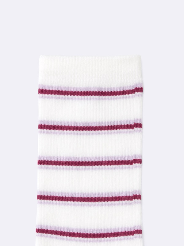 クルーソックス(ボーダー)