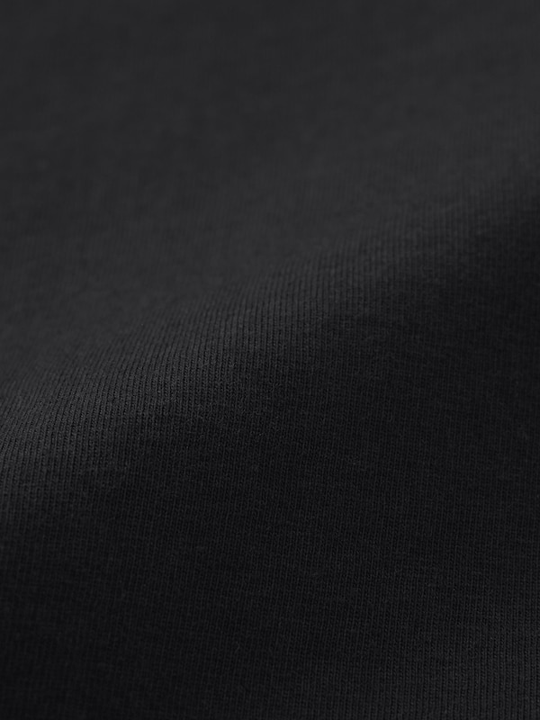 グラフィックT GODZILLA