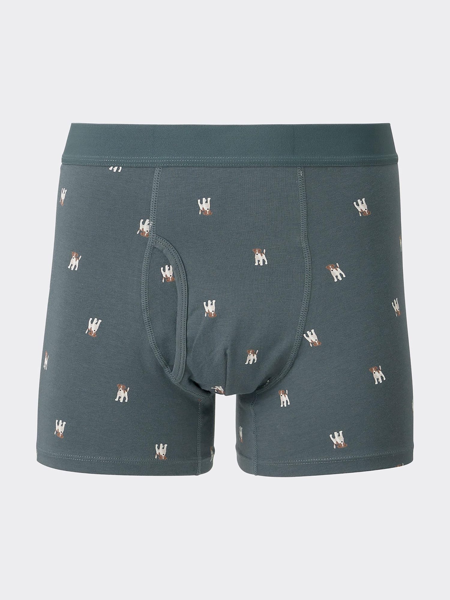 下着・アンダーウェア DOG 楽天市場】犬プリントショーツ Lickstarter chihuahua リック