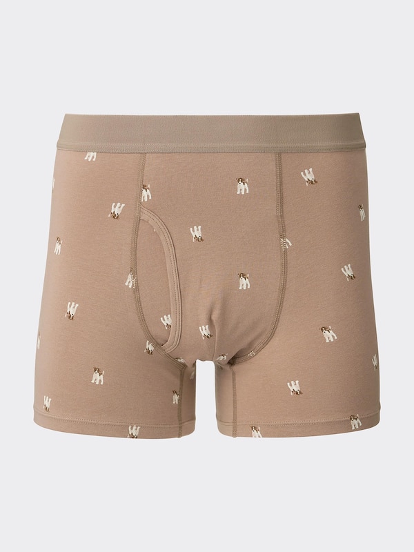 Boxer Briefs Dog