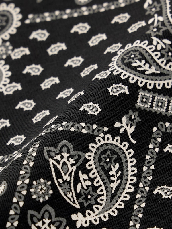 Boxer Briefs Paisley1