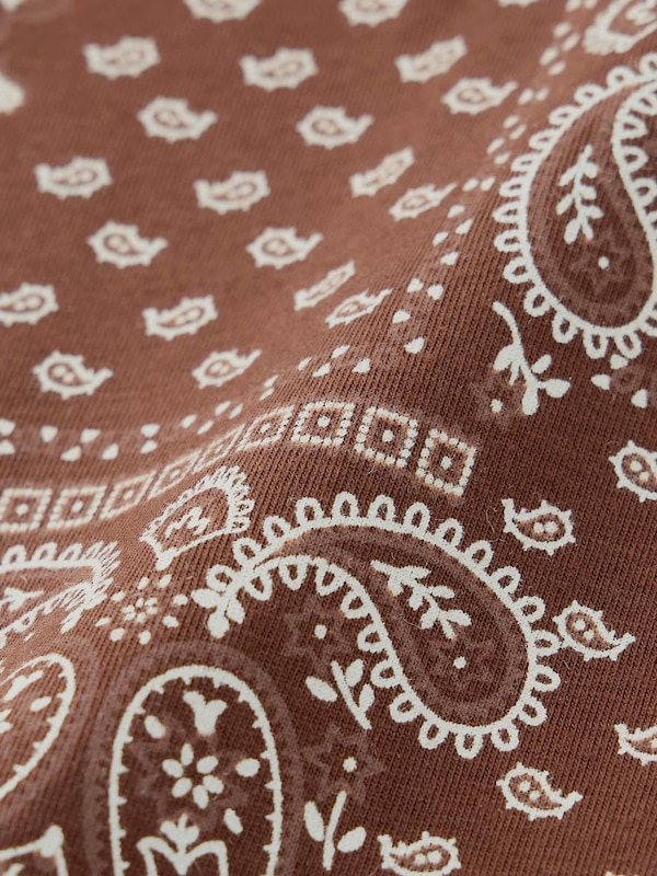 Boxer Briefs Paisley1