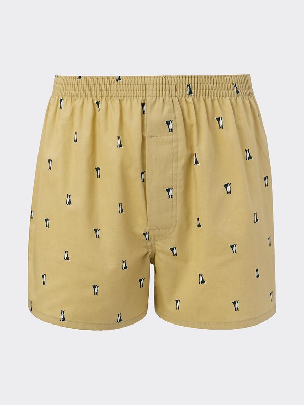 Woven Boxers Dog