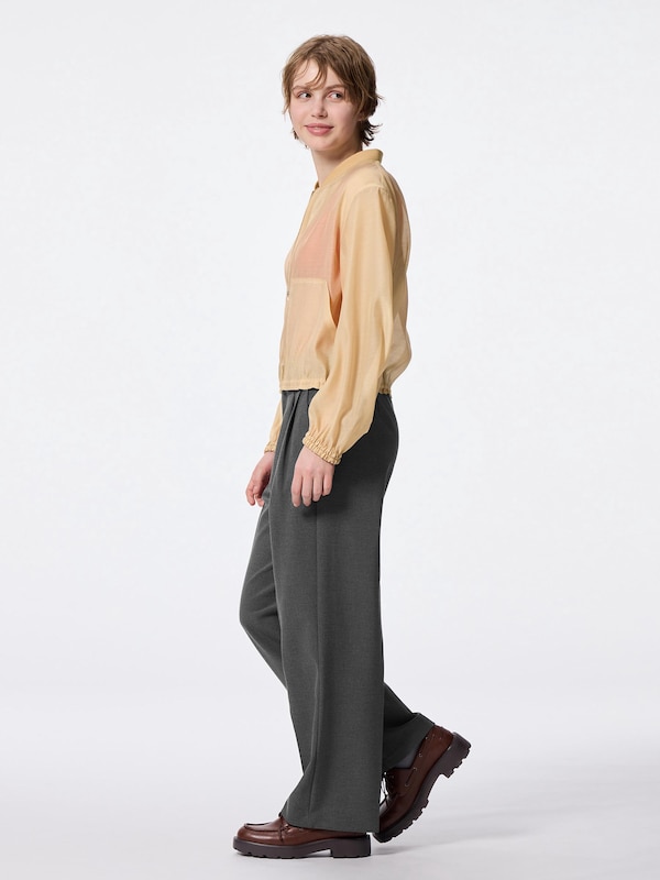 Pleated Wide-Leg Pants