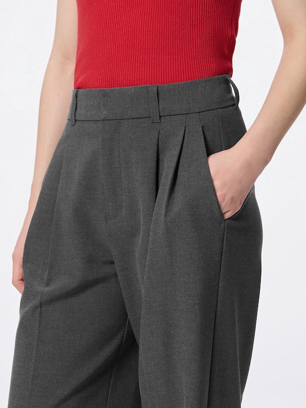 Pleated Wide-Leg Pants