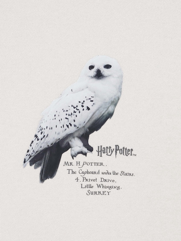 Sweatshirt Harry Potter