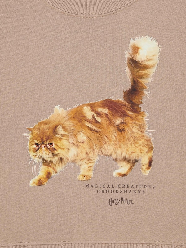 Sweatshirt Harry Potter