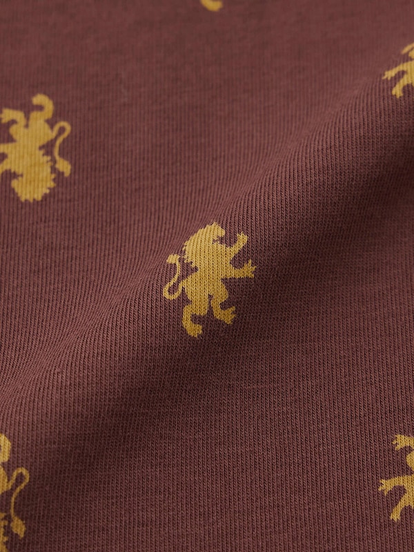 Boxer Briefs Harry Potter