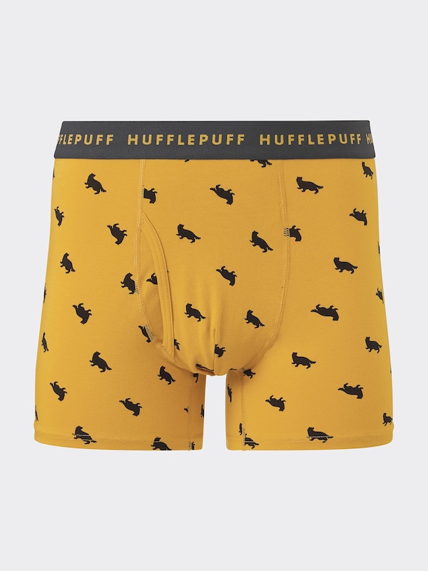 Boxer Briefs Harry Potter