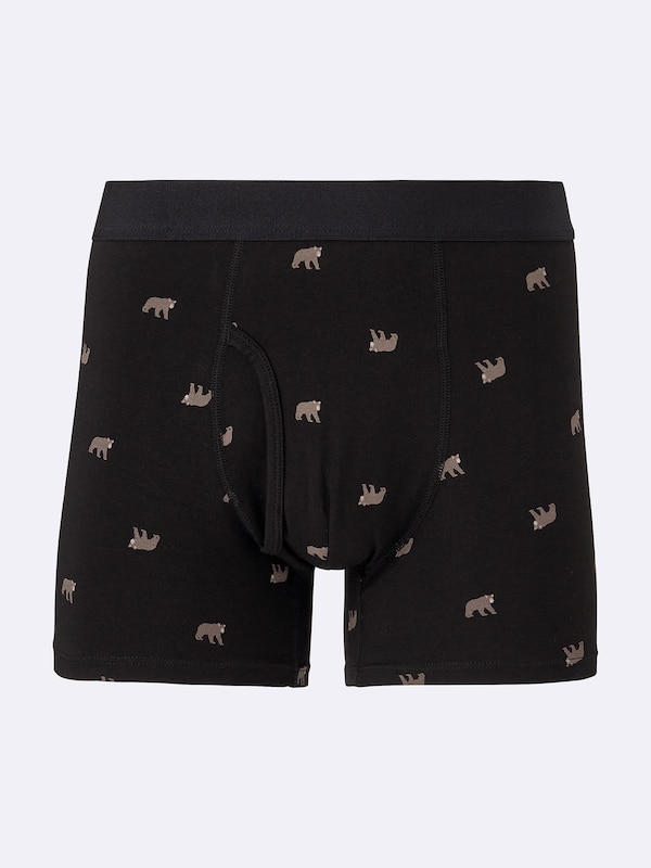 Boxer Briefs | Bear