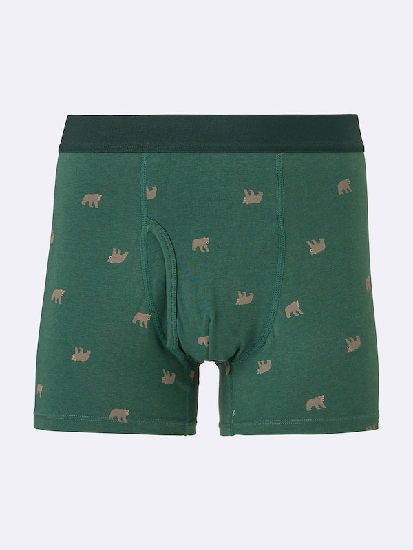Boxer Briefs | Bear