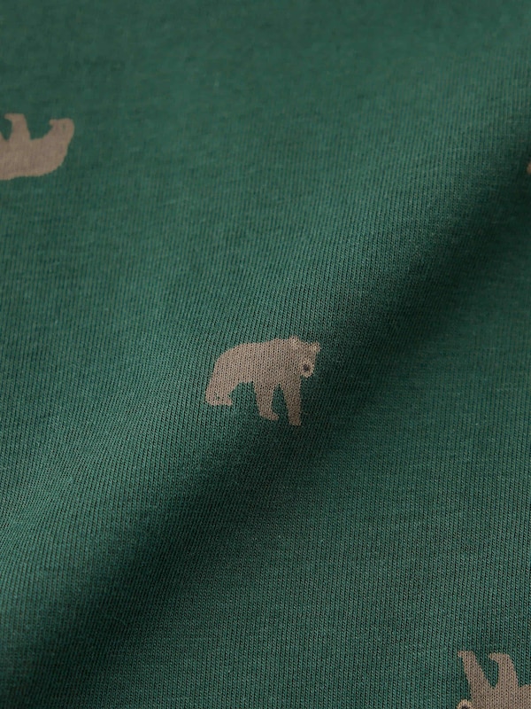 Boxer Briefs | Bear