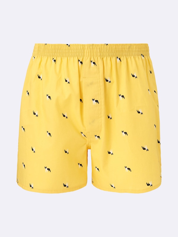 Woven Boxers | Dog