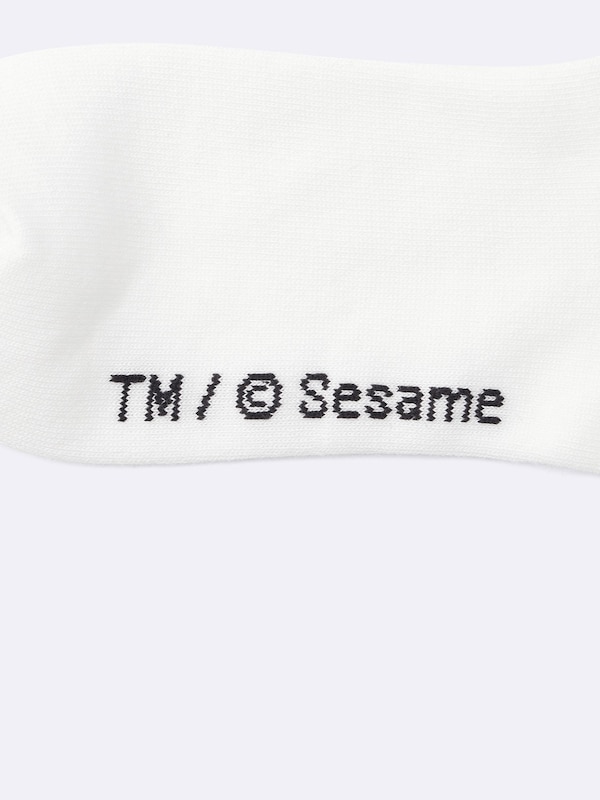 Socks | Sesame Street