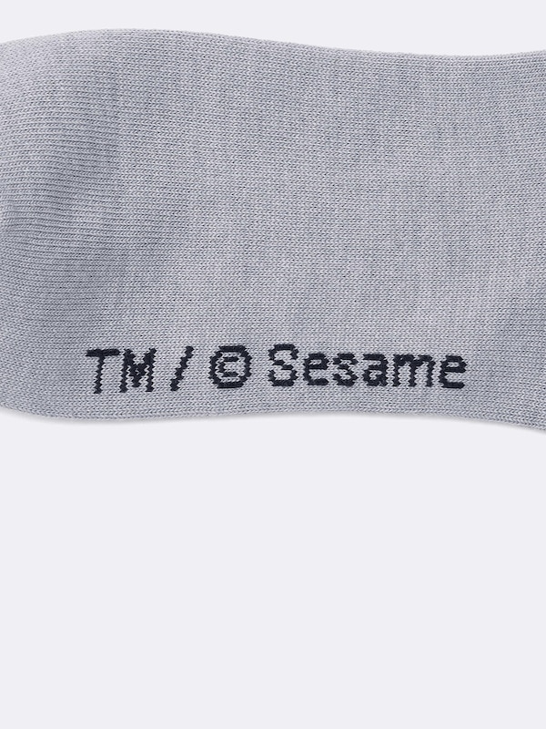 Socks | Sesame Street