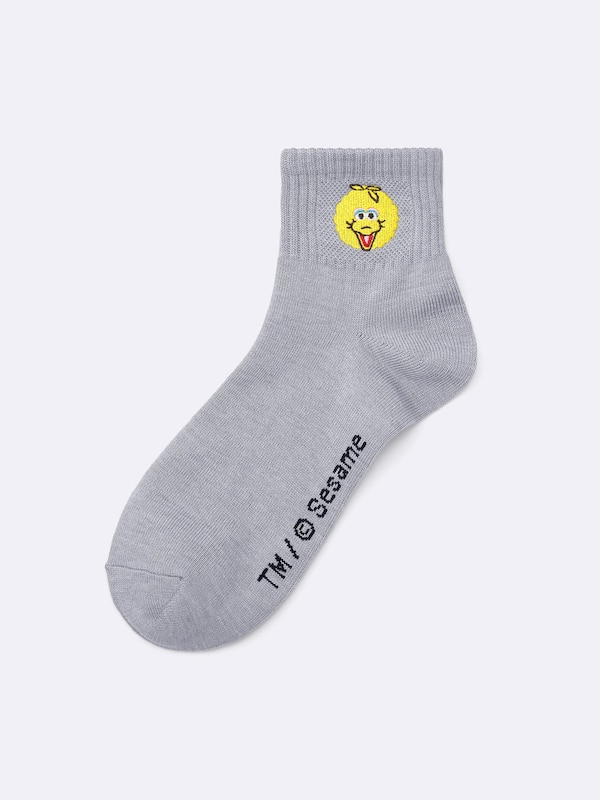 Socks | Sesame Street