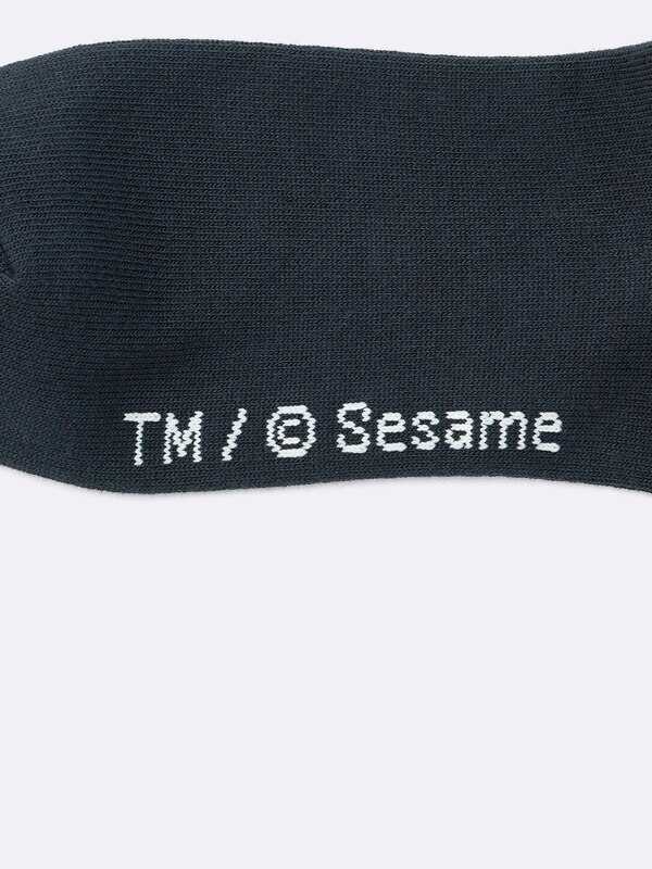 Socks | Sesame Street