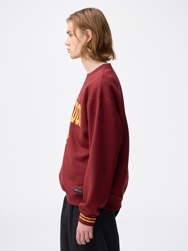 Heavy Weight Sweatshirt | Harry Potter