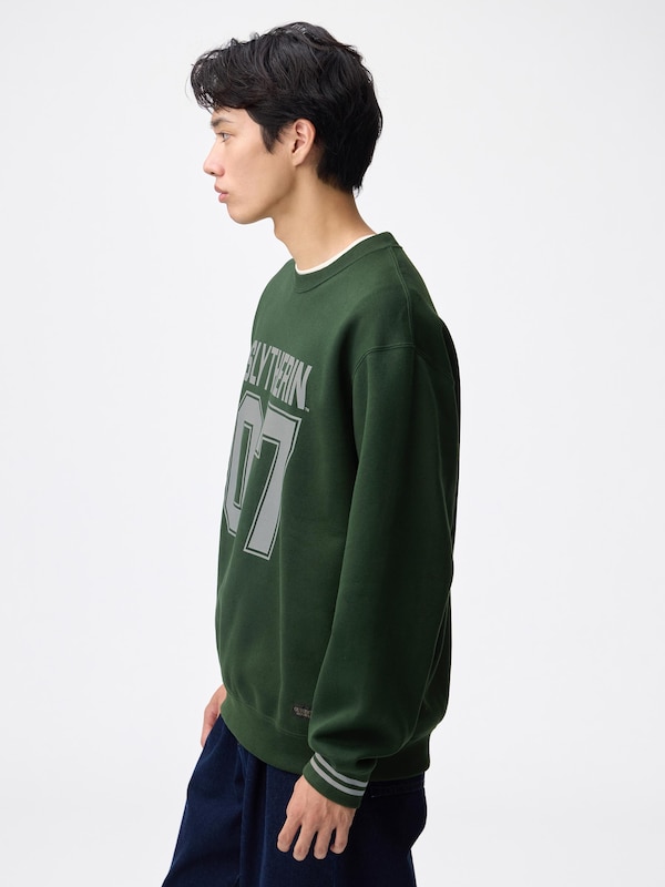 Heavy Weight Sweatshirt | Harry Potter