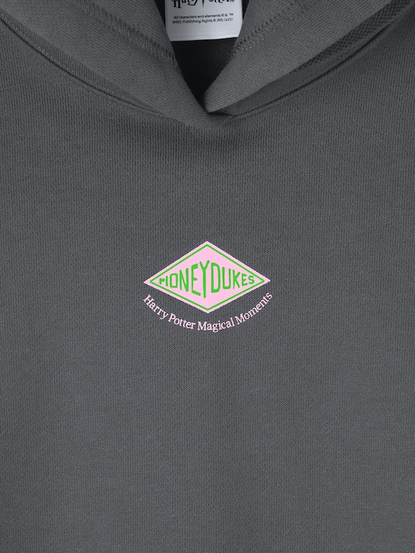 Heavy Weight Sweat Hoodie | Harry Potter