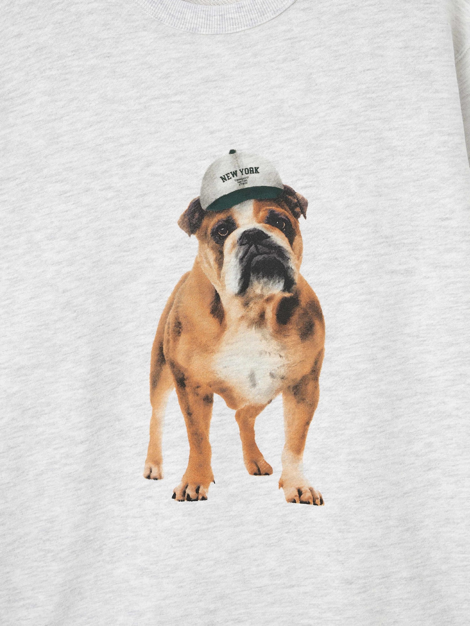 French Terry | Dog | GU US