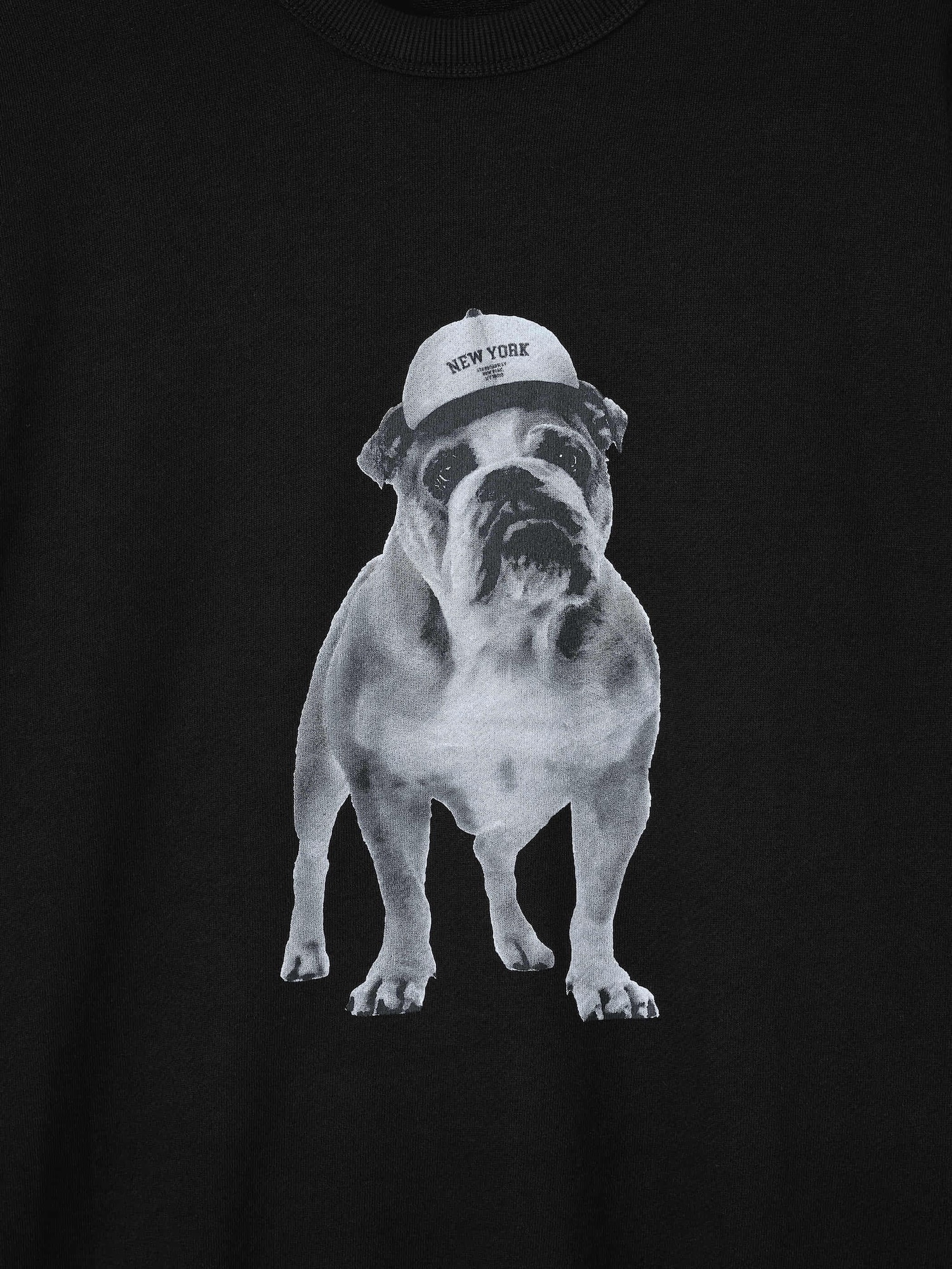 Men's French Terry | Dog | GU US