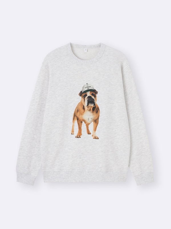 French Terry | Dog