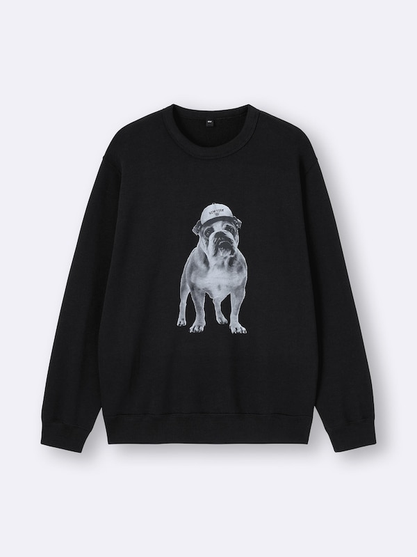 French Terry | Dog