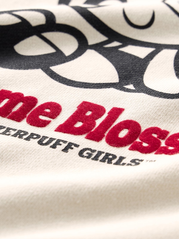 Sweatshirt | THE POWERPUFF GIRLS