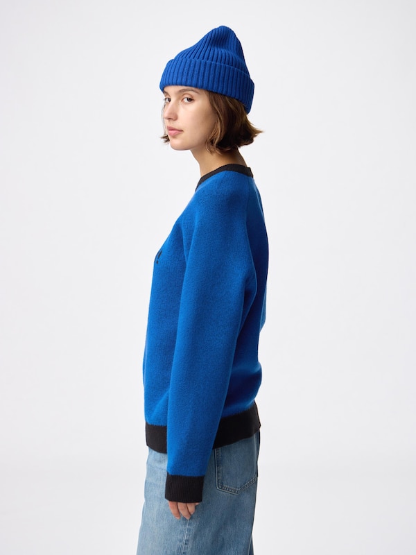 Oversized Knitted Pullover | PUPPET SUNSUN