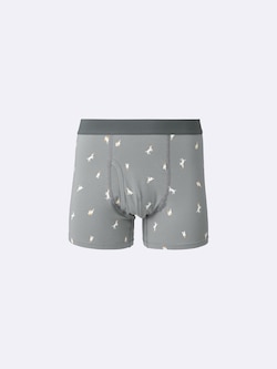 Boxer Briefs | Dog2