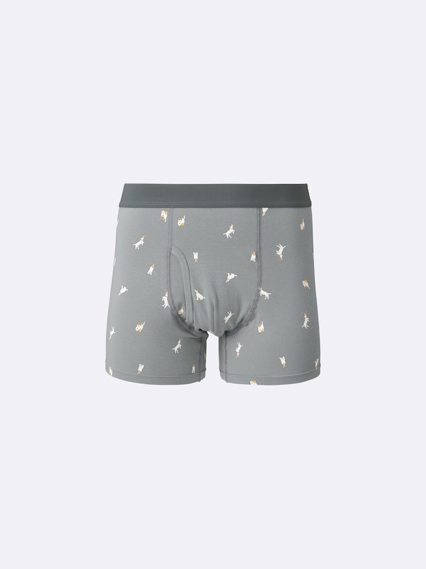 Boxer Briefs | Dog2