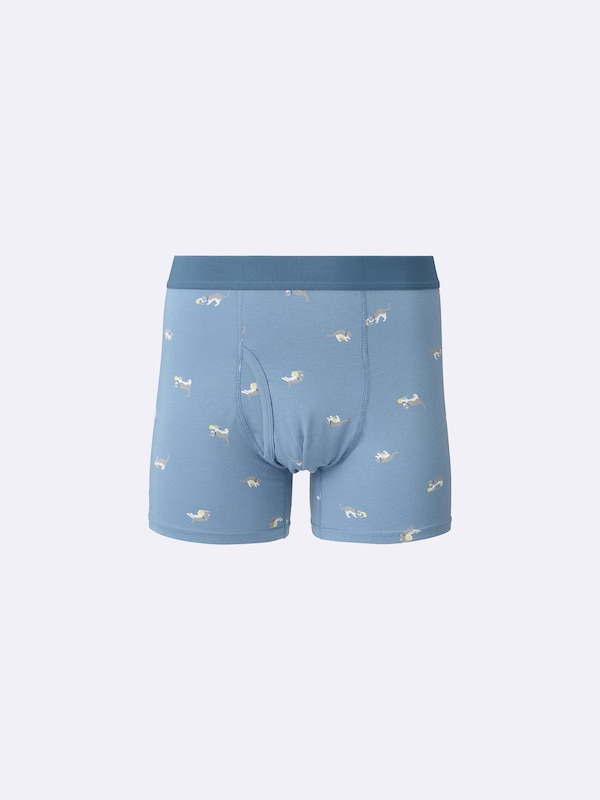 Boxer Briefs | Cat2