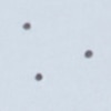 MULTI(PATTERN)5