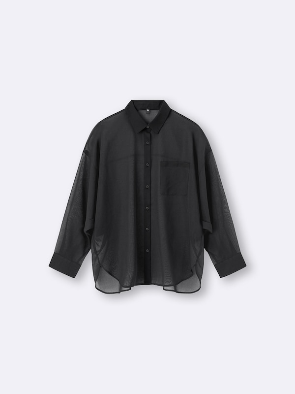 Sheer Dolman Sleeve Shirt