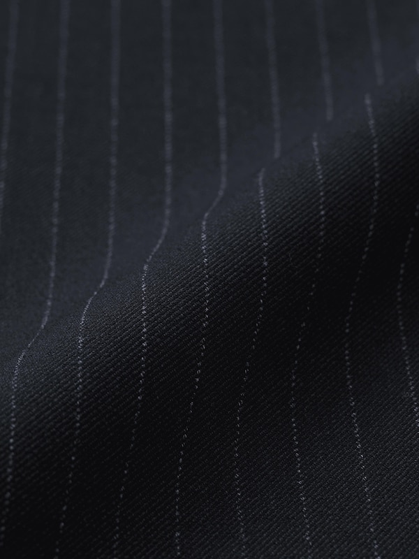 Pleated Wide Pants | Stripe | Long