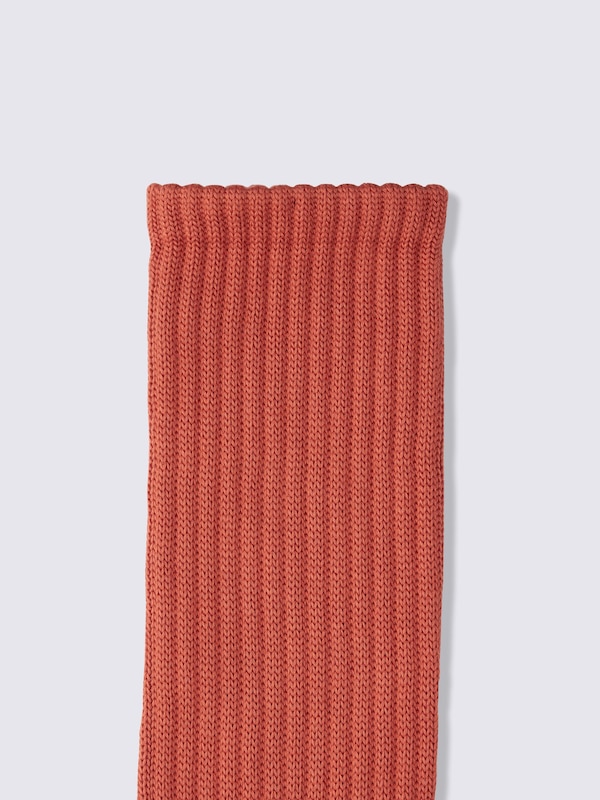 Warm Socks | Color Rib | UL