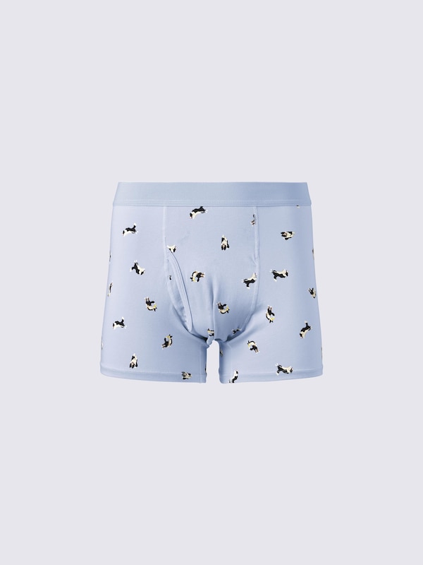 Boxer Briefs | Dog | ST