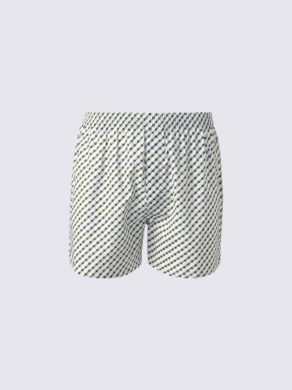 Woven Boxers | Small Pattern | CL