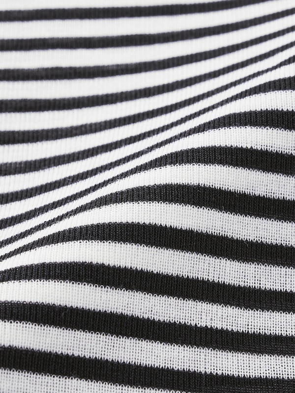 Soft Sheer Striped Crew Neck T-Shirt | Long | PF