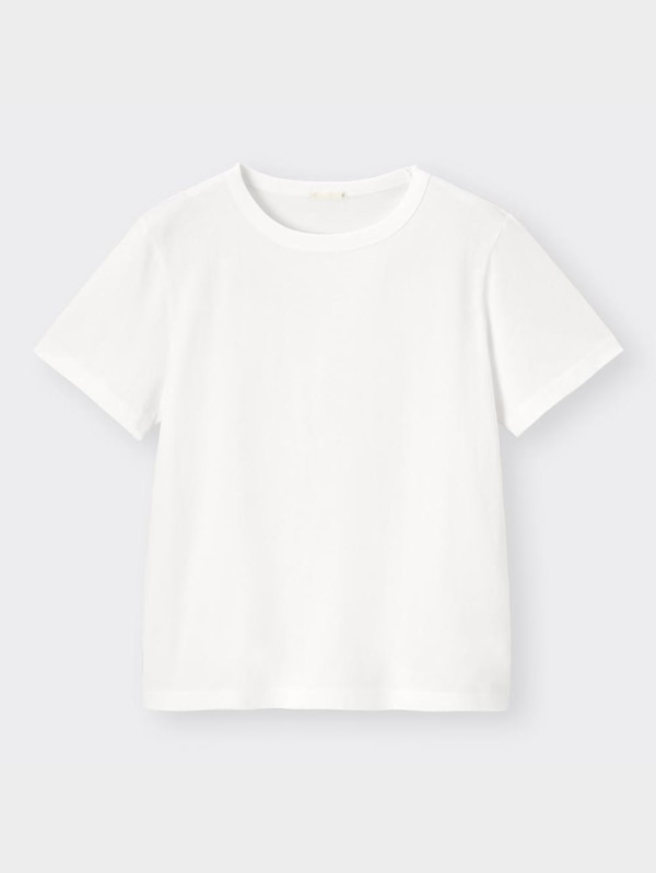 コットンクルーネックT(半袖)