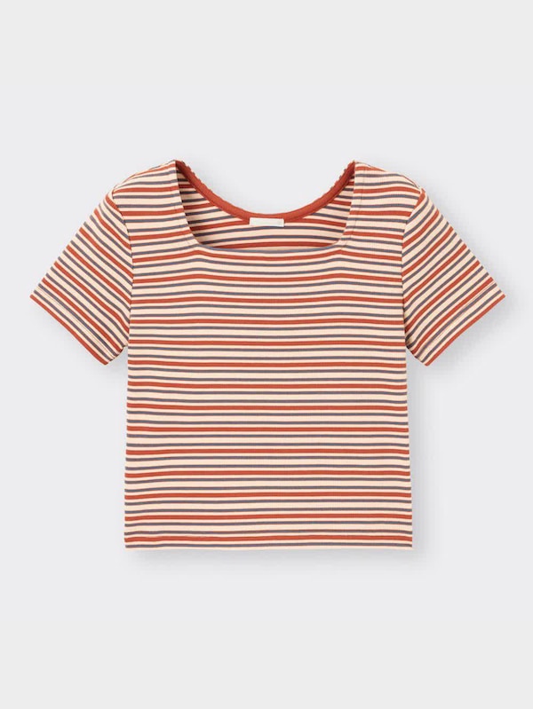 マルチボーダーミニT(半袖)