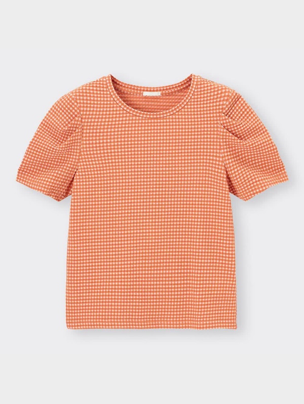 タックスリーブT(半袖)(ギンガム)Q