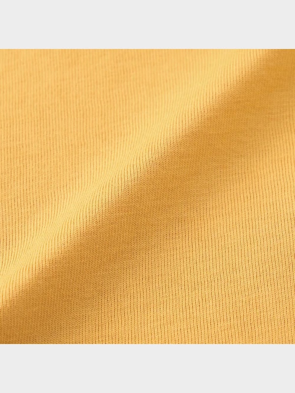 BOYSスパンコールT(半袖)(トリケラトプス)