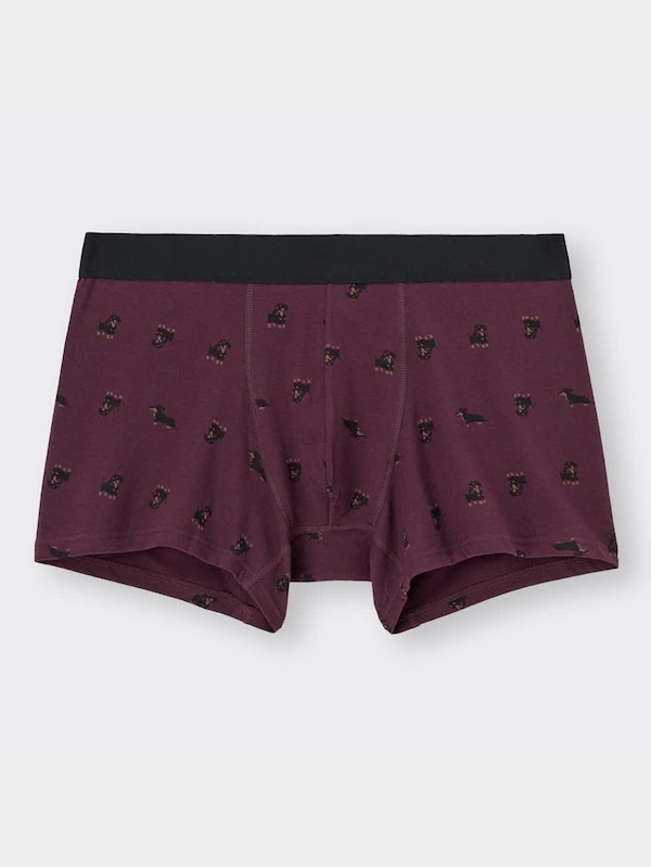 ボクサーパンツ(ローライズ)(イヌ)+X