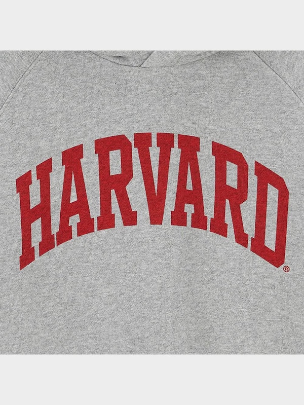 KIDS(男女兼用)裏起毛ヘビーウェイトスウェットプルパーカ Harvard university