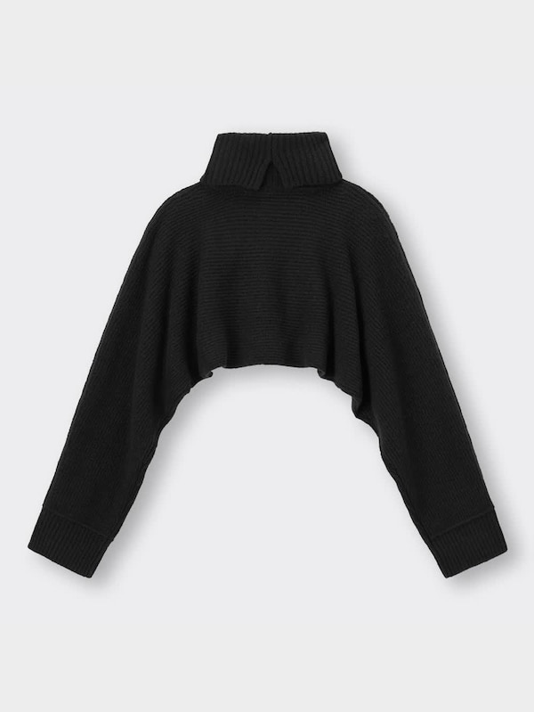 クロップドタートルネックセーター(長袖)YT+E